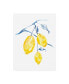 Фото #1 товара Jennifer Goldberger Watercolor Lemons I Canvas Art - 27" x 33.5"