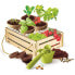 Фото #3 товара CLEMENTONI Science Gardening Kit
