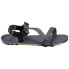 Фото #4 товара XERO SHOES Z-Trail EV sandals