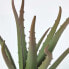 Фото #13 товара Искусственные цветы Homescapes Комнатное растение Aloe Vera 30 см