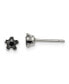 ფოტო #1 პროდუქტის Stainless Steel Polished Black Star CZ Stud Earrings