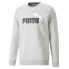 PUMA Ess+ 2 Col Big Logo hoodie