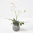 Фото #8 товара Künstliche weiß-gelbe Phalaenopsis