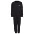 Фото #1 товара ADIDAS ORIGINALS Adicolor Crew tracksuit