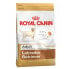 Фото #2 товара ROYAL CANIN Labrador Retriever Poultry Rice Adult 12kg Dog Food