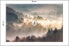 Фото #10 товара Fototapete WALD IM NEBEL Landschaft 3D