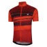 DARE2B Aep Pedal short sleeve jersey