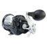 Shimano TORIUM Conventional Reels (TOR40HGA) Fishing