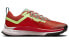 Nike Pegasus Trail 4 DJ6159-801 Trail Running Shoes