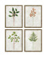 Фото #1 товара Botanical I Framed Art, Set of 4