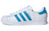 adidas originals Superstar 低帮 板鞋 男女同款 白青蓝 / Кроссовки Adidas originals Superstar G54739