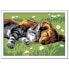 RAVENSBURGER Cat And Dog Paint Kit