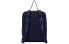 Nike Tanjun BA6097-498 Bag