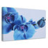 Фото #1 товара Bild auf leinwand Orchidee Blau Blumen