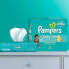 Фото #6 товара Pampers Baby Dry Diapers Enormous Pack - Size 5 - 132ct