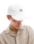 Dickies hardwick baseball cap in off white