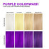 Фото #5 товара Celeb Luxury Colorwash Color Depositing Shampoo - Color Refresher Vegan Hair ...