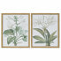 Фото #1 товара Картина DKD Home Decor 43 x 3 x 53 cm Ботанические растения (2 штук)