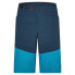 Фото #2 товара ZIENER Nuwe X-Function shorts