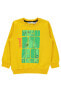 Фото #4 товара Erkek Çocuk Sweatshirt 2-5 Yaş Hardal