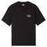 DICKIES Icon Washed short sleeve T-shirt