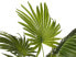 Фото #8 товара Kunstpflanze FAN PALM