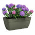 Plant pot Artevasi 57,9 x 24,3 x 22 cm Green