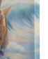 Фото #6 товара Beach Dogs Corgi Canvas Wall Art