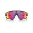 OAKLEY Jawbreaker Wgl sunglasses