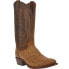 Фото #2 товара Dan Post Boots Gehrig Ostrich Embroidered Round Toe Cowboy Mens Brown Dress Boo