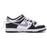 Кеды Nike Dunk Low Schoolstyle GS