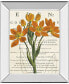 Фото #1 товара Eurphoria Botany by Sue Schlabach Mirror Framed Print Wall Art, 22" x 26"