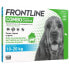 FRONTLINE Hundekombination 10-20kg - 6 Pipetten