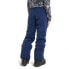 BURTON Barnstorm Pants