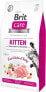 Фото #1 товара Сухой корм Brit Care Cat Grain Free Kitten 2кг - Здоровый рост и развитие