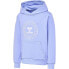 Фото #1 товара HUMMEL Cuatro Circle hoodie