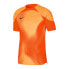 Фото #1 товара Nike Dri-FIT ADV Gardien 4 M DH7760-819 goalkeeper jersey