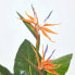 Фото #13 товара Искусственные цветы Homescapes Königsstrelitzieующие Strelitzia Reginae.