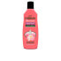 Фото #1 товара FORESAN BLOSSOM concentrated air freshener 125 ml