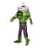 Фото #1 товара Rubies Marvel Avengers Boy's Hulk Jumpsuit, Mask, Gloves & Shoe Covers