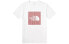 THE NORTH FACE FlashDry Box LogoT 499K-QR4 Shirt