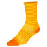 Фото #1 товара SOCKGUY SGX 6´´ Stripes socks