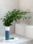 Фото #5 товара Аксессуары для цветов like. by Villeroy & Boch Горшки Vasen Lave Home 2er Set