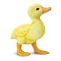 Фото #1 товара Фигурка Safari Ltd Утёнок SAFARI LTD Duckling Figure TOOB (Трубка)