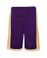 Big Boys Purple Los Angeles Lakers Hardwood Classics Swingman Shorts
