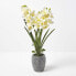 Фото #8 товара Künstliche Orchidee im Zement
