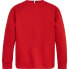 Фото #2 товара TOMMY HILFIGER Timeless sweatshirt