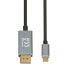 Фото #1 товара Адаптер USB C—DisplayPort Ibox ITVCDP4K Чёрный 1,8 m