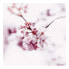 Фото #1 товара Leinwandbild Cherry Blossom Floral