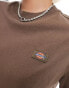 Dickies oakport boxy cropped t-shirt in brown